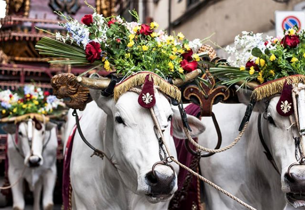 Arrivo del Brindellone in Piazza del Duomo - Photo by @alberitivo