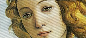 Venere di Botticelli - uffizi, Firenze